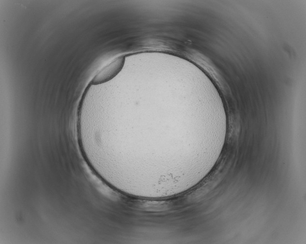 X0000111431439200908101107