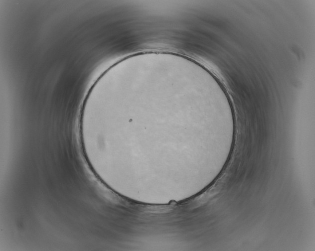 X0000111431440200908101107