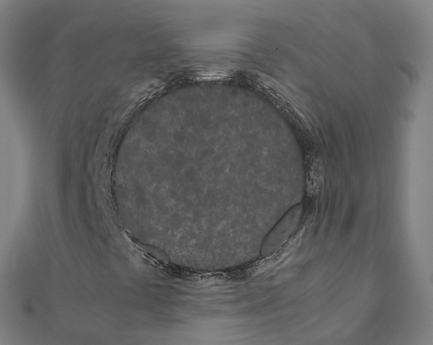 X0000111431441200908101106