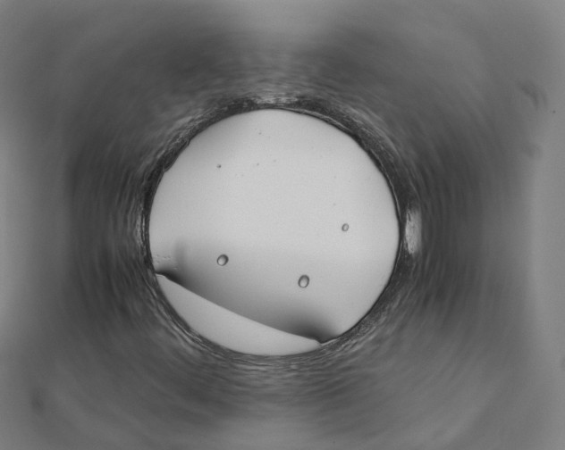 X0000111431444200908101106