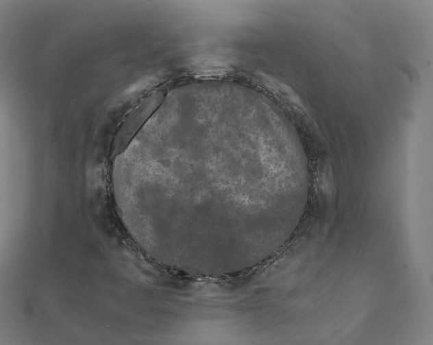 X0000111431445200908101106
