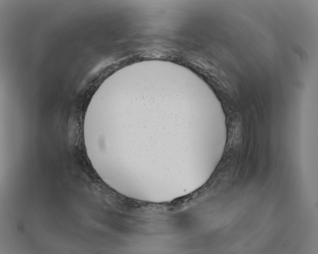 X0000111431446200908101106