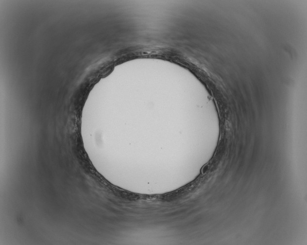 X0000111431447200908101106