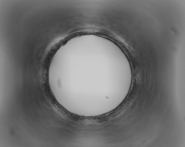 X0000111431448200908101106