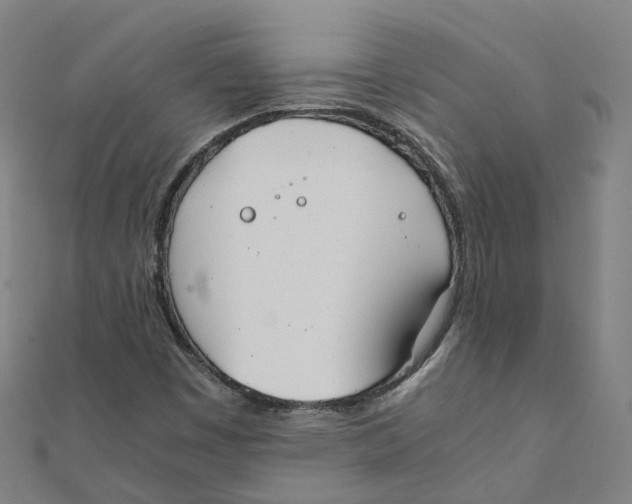 X0000111431449200908101106
