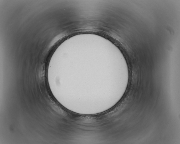 X0000111431450200908101106