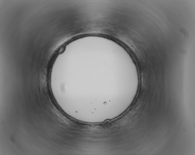 X0000111431452200908101106