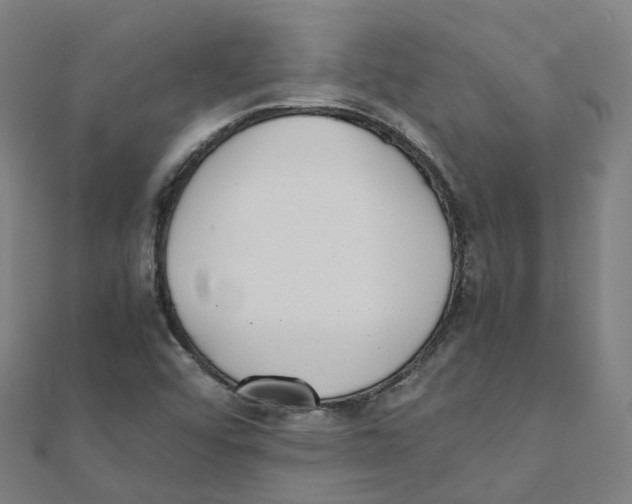 X0000111431456200908101106