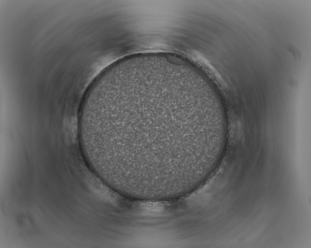 X0000111431457200908101106