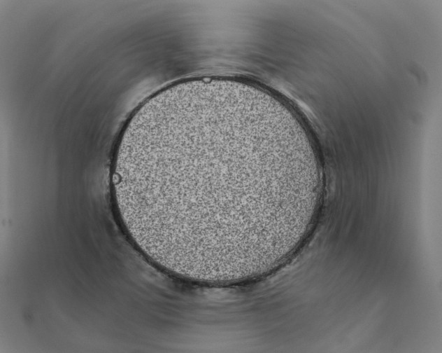 X0000111431459200908101106