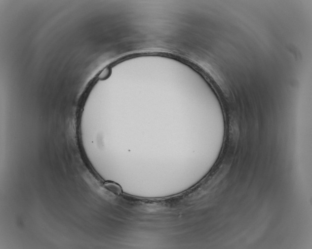 X0000111431460200908101106