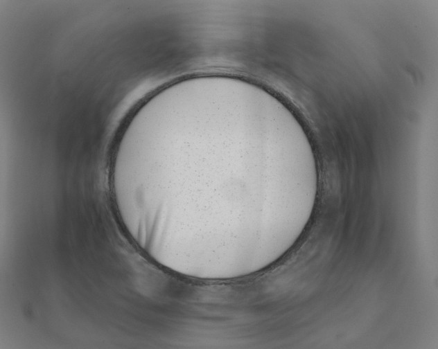 X0000111431462200908101106