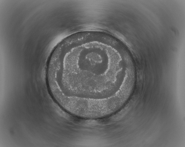 X0000111431463200908101106