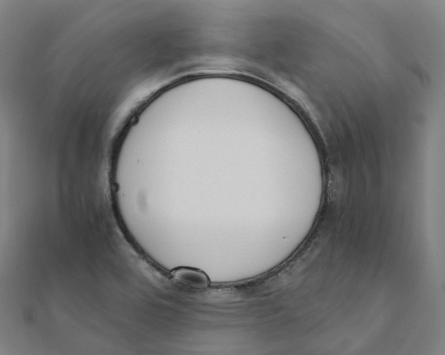 X0000111431464200908101106