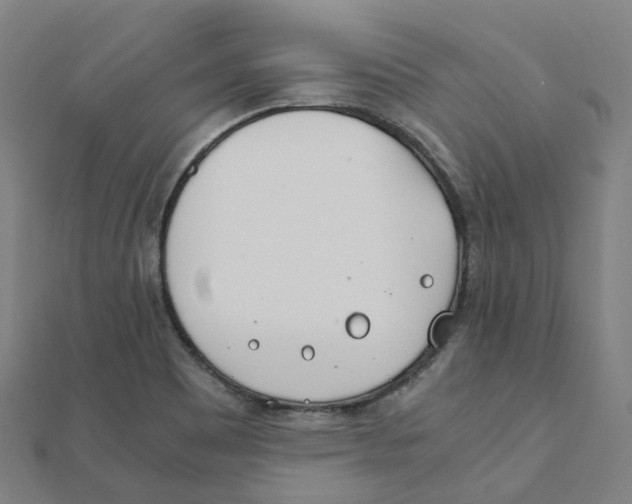 X0000111431465200908101106