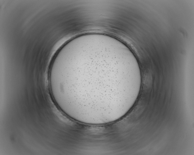 X0000111431466200908101106