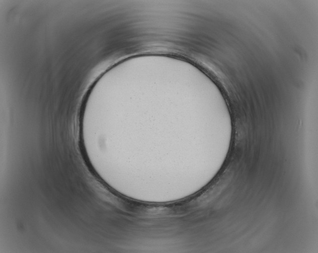 X0000111431467200908101106