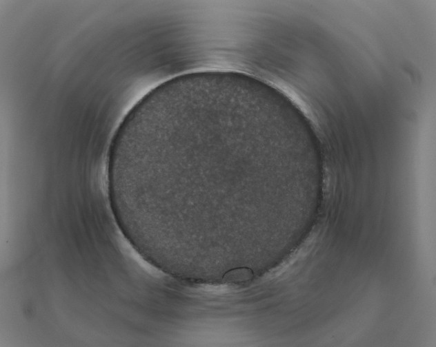 X0000111431468200908101106