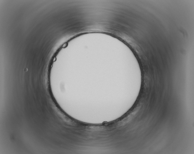 X0000111431469200908101106