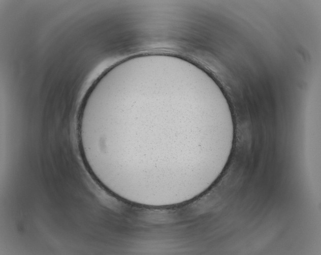 X0000111431470200908101106