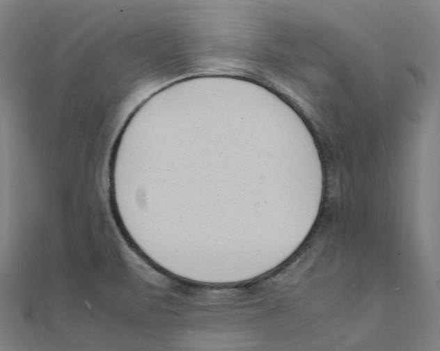 X0000111431471200908101106