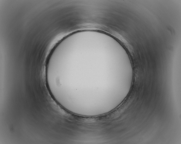 X0000111431472200908101106