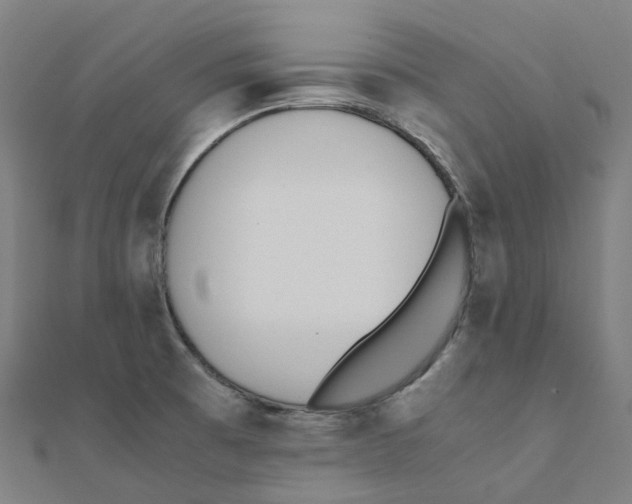 X0000111431473200908101106