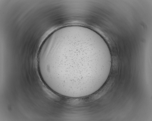 X0000111431474200908101106