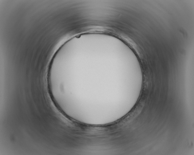 X0000111431475200908101106