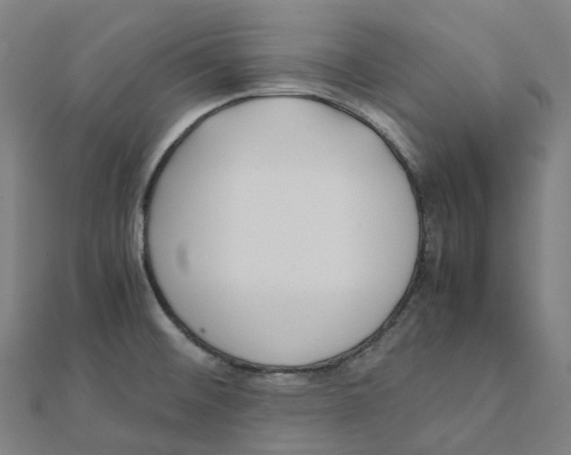X0000111431476200908101106