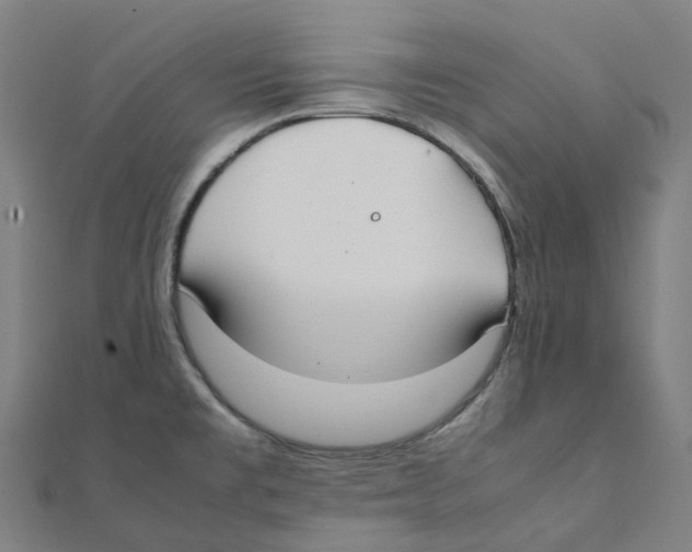 X0000111431477200908101106