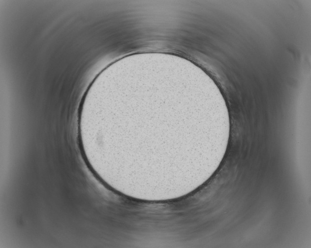 X0000111431479200908101106