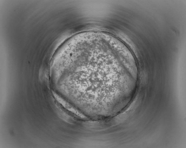 X0000111431481200908101106