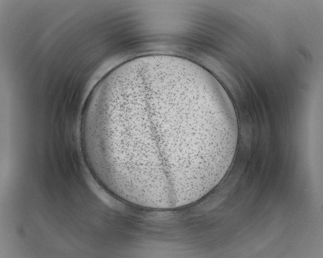 X0000111431482200908101106