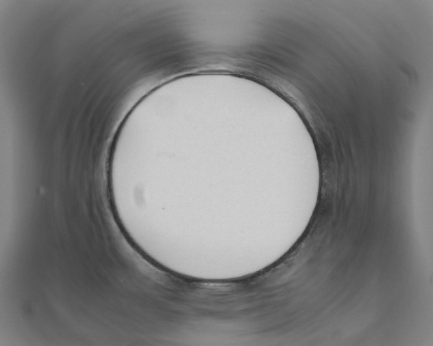 X0000111431483200908101106