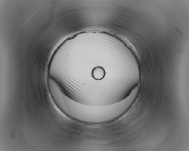 X0000111431484200908101106
