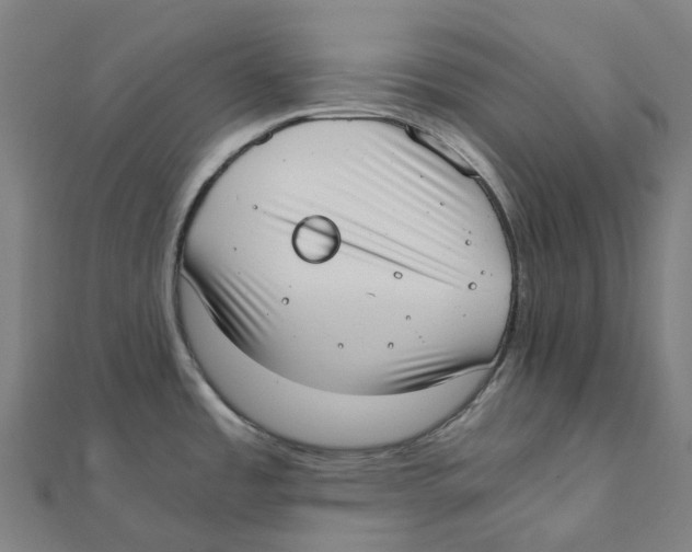 X0000111431485200908101106
