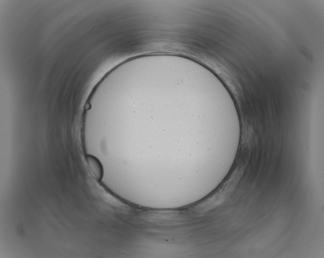 X0000111431486200908101106
