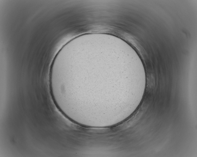 X0000111431487200908101106