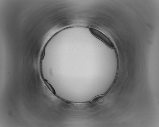 X0000111431488200908101106