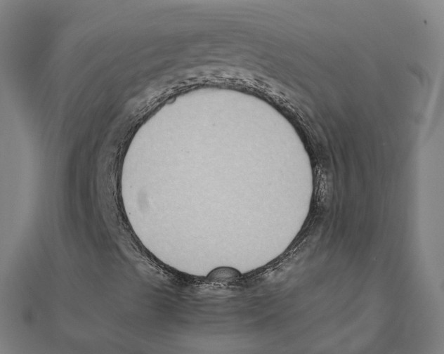 X0000111431489200908101105