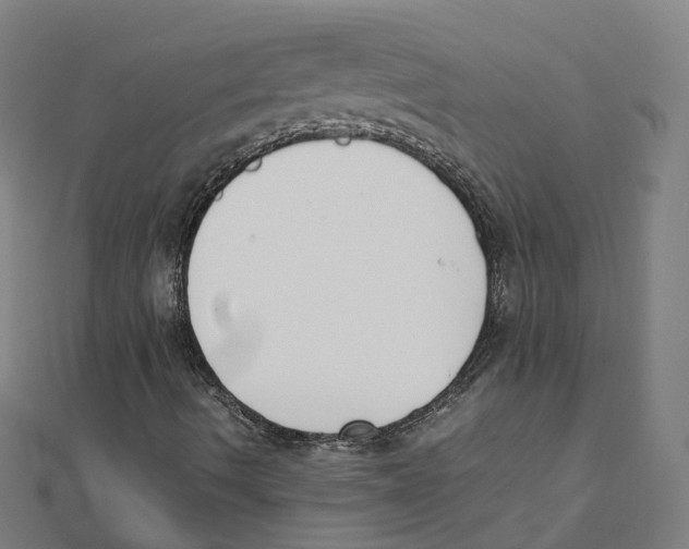 X0000111431490200908101105