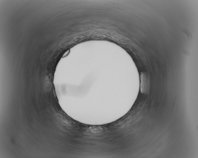 X0000111431491200908101105