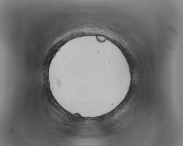 X0000111431494200908101105