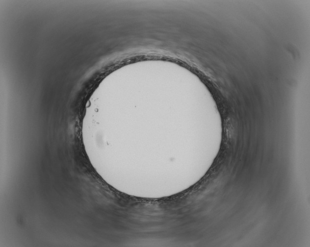X0000111431495200908101105