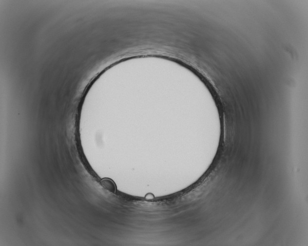 X0000111431500200908101105