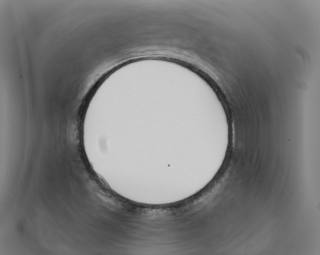 X0000111431501200908101105