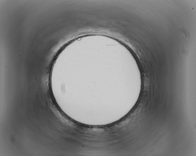 X0000111431503200908101105