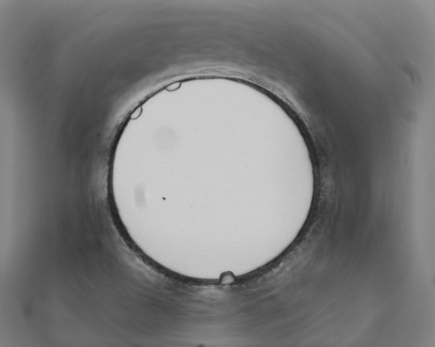 X0000111431504200908101105