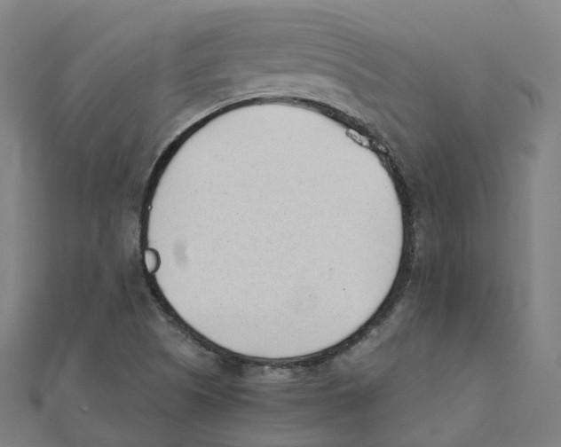 X0000111431505200908101105